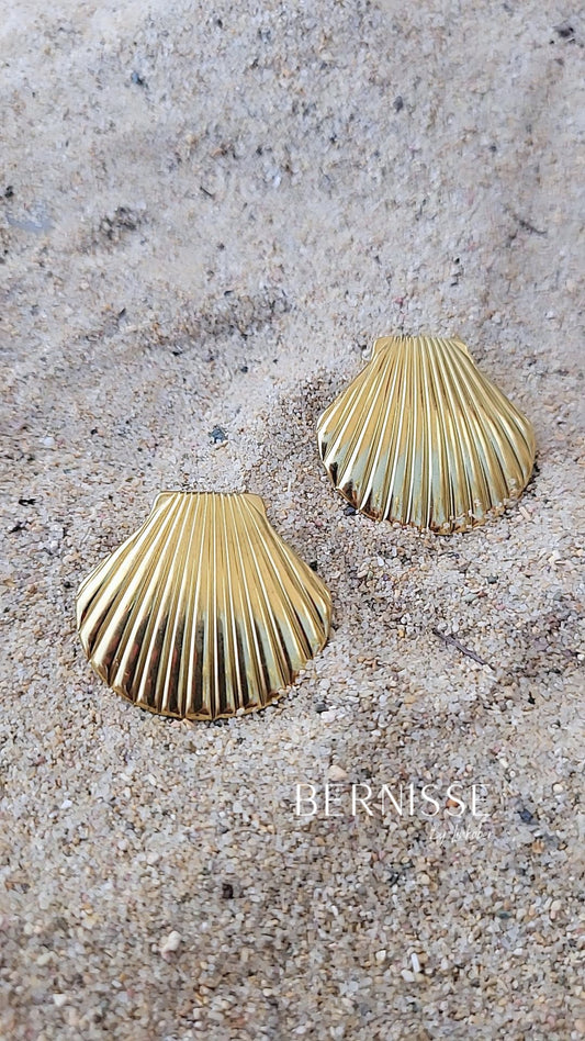 Concha earrings