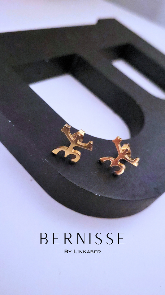 Coquí Taino stud earrings